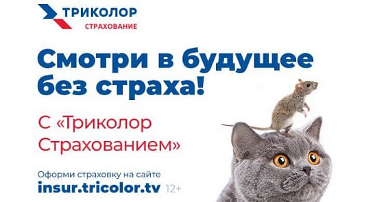 ТРИКОЛОР И «АЛЬФАСТРАХОВАНИЕ» ЗАПУСКАЮТ КОМПЛЕКСНУЮ ПРОГРАММУ СТРАХОВАНИЯ